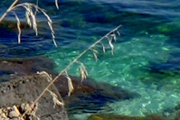 Riserva di Monte Cofano Castelluzzo - San Vito Lo Capo