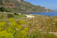 Riserva di Monte Cofano Castelluzzo - San Vito Lo Capo