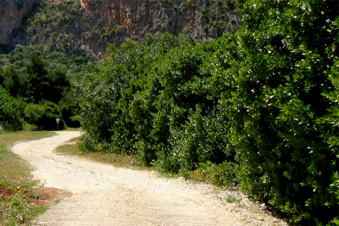 Riserva di Cofano - Castelluzzo