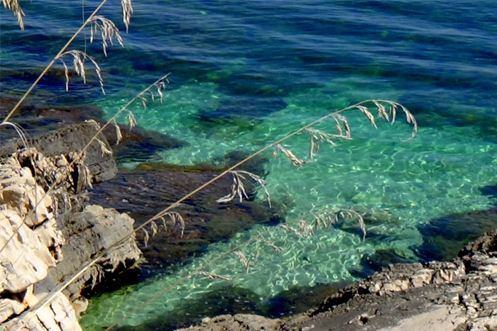 Riserva di Cofano - Castelluzzo