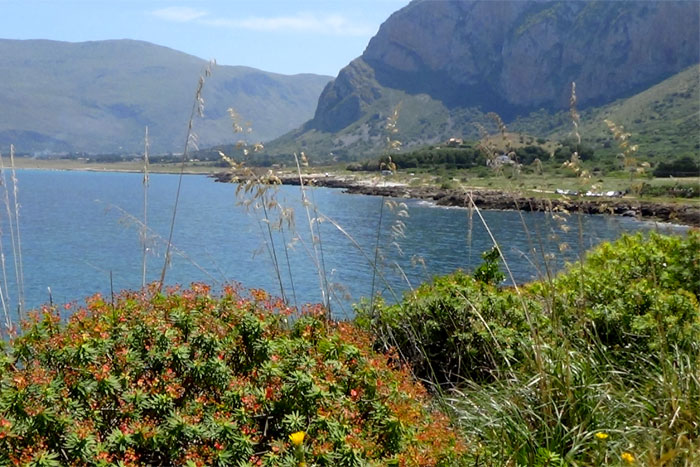 Riserva di Cofano - Castelluzzo