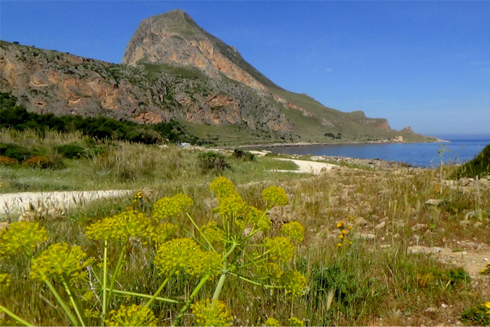 Riserva di Cofano - Castelluzzo